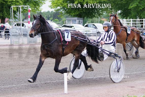 Fina Arviking