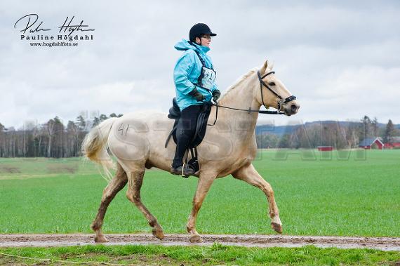 Lysthøjsgårds Chateau