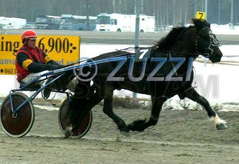 Ripål