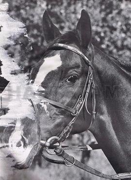 Fury xx