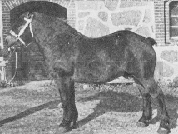 Carré
