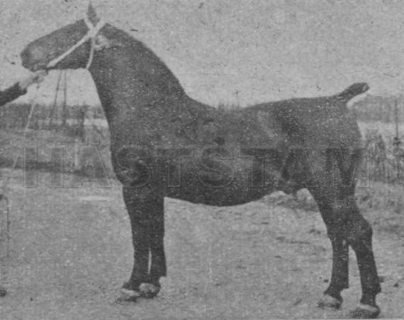 Titiaan