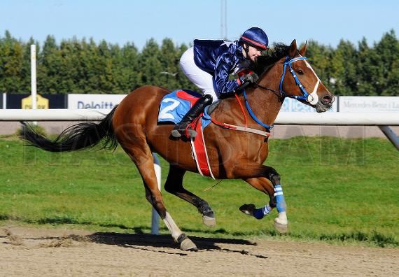 Ballinaclogh Poker Face