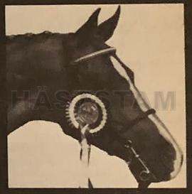 Half-a-Penny