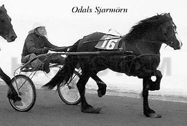 Odals Sjarmör'n (NO)