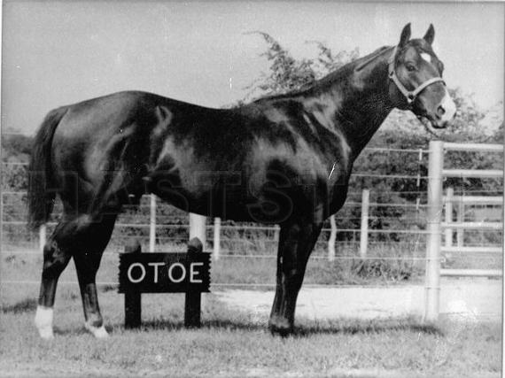 Otoe