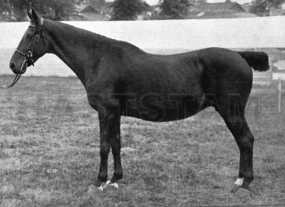 Terrington Housemaid