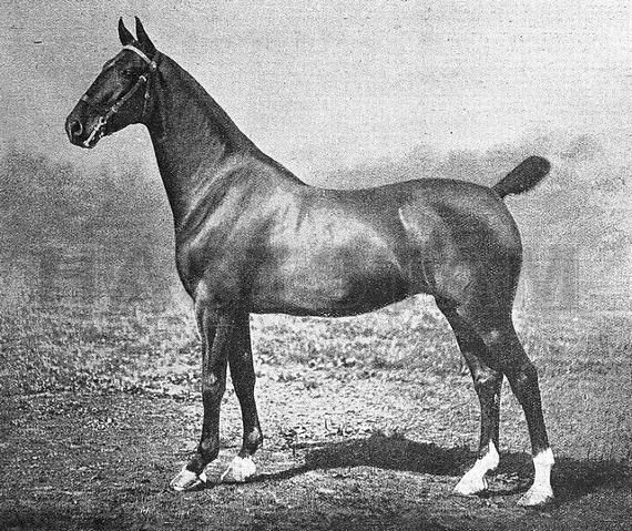 Melbourne Princess