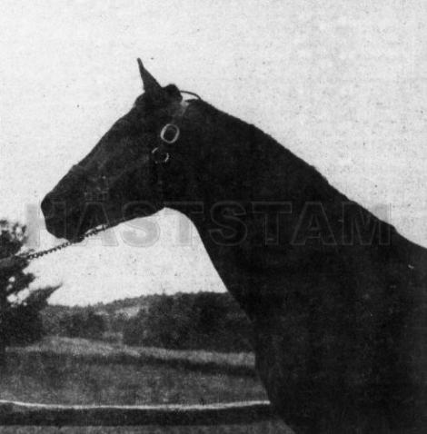 Glenholm