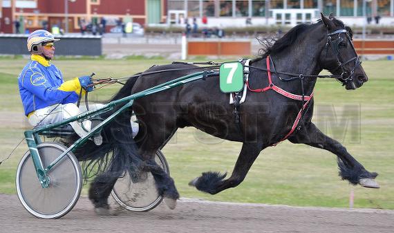 Tyri Svarten (NO)