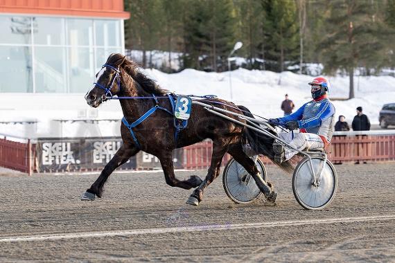 Wild Å.Vacker