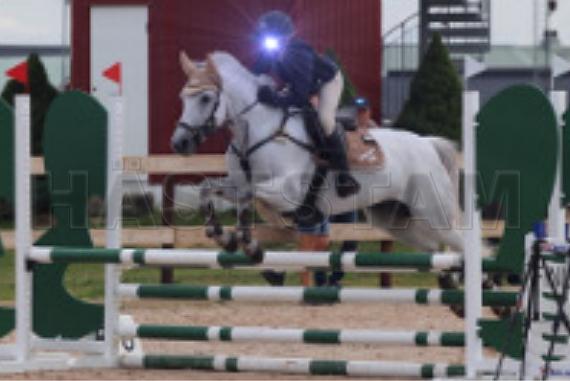 Ardoughan Boy
