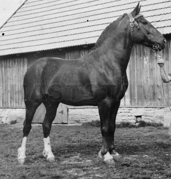 Uro