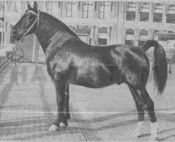 Rossini