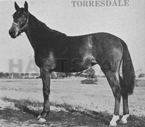 Torresdale (US)
