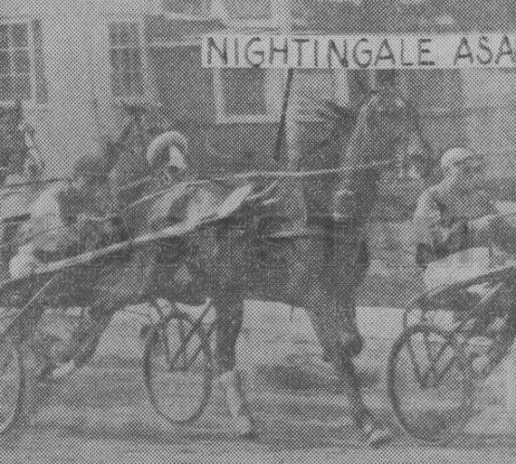 Nightingale Asa