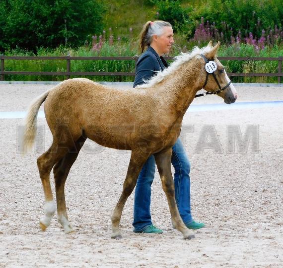 Special Miss Ida