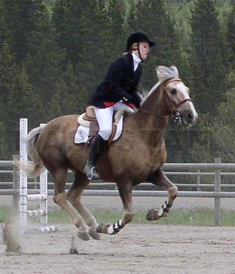 Gustav