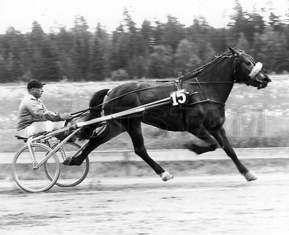 Brynjola