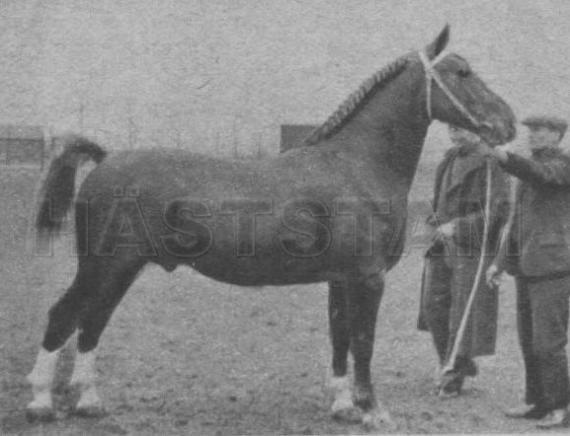 Landheer