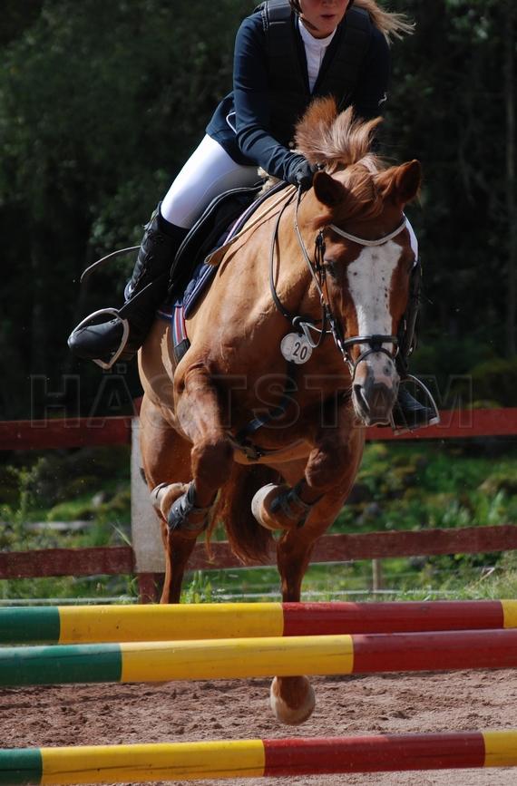 Fontain Star