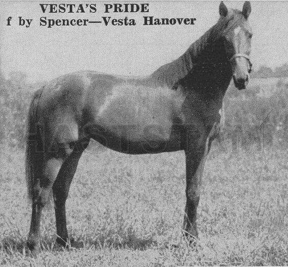 Vesta's Pride (US)
