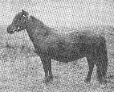 Roma of Blantyre
