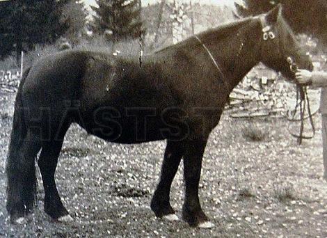 Ragnhild