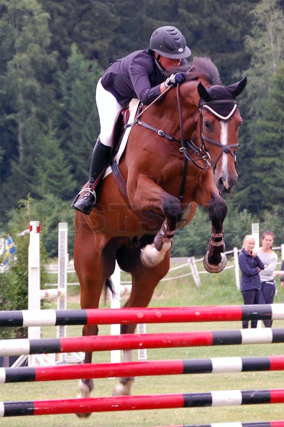 Zeus