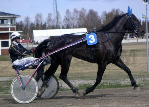 Eli Concorde