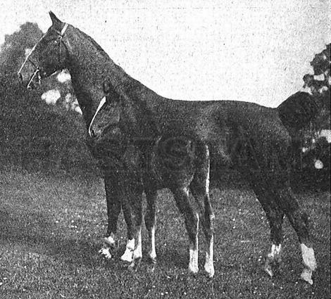 Ryburn Lucinda