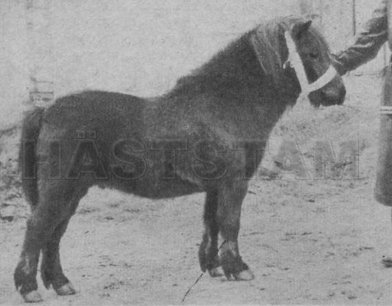 Fosco