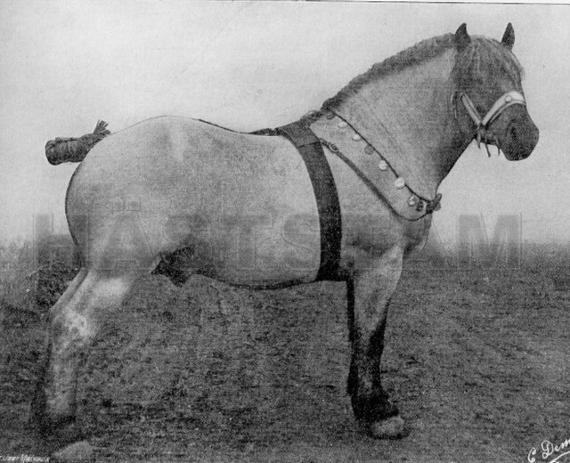 Joubert II du Château
