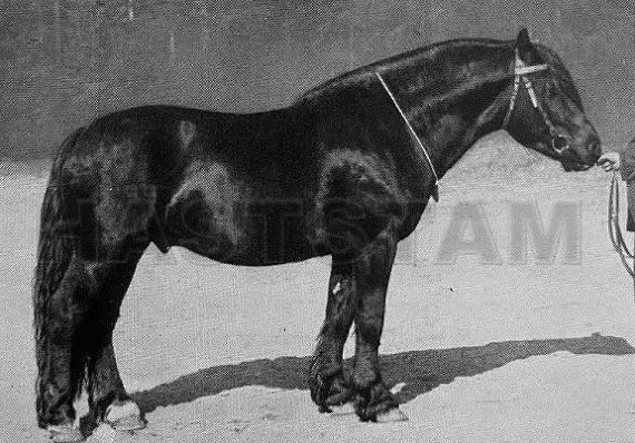 Farmann