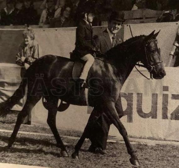 Bladon Stardust