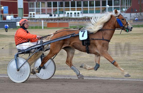 Västerängs Eir