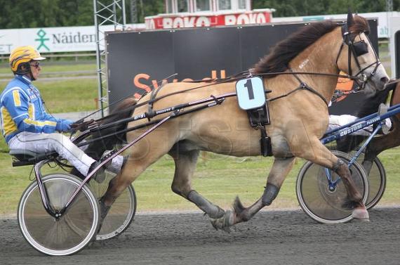 Holm Hilding