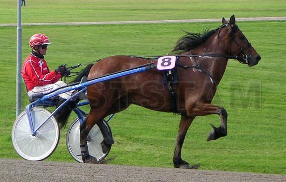 Lelle Slogum
