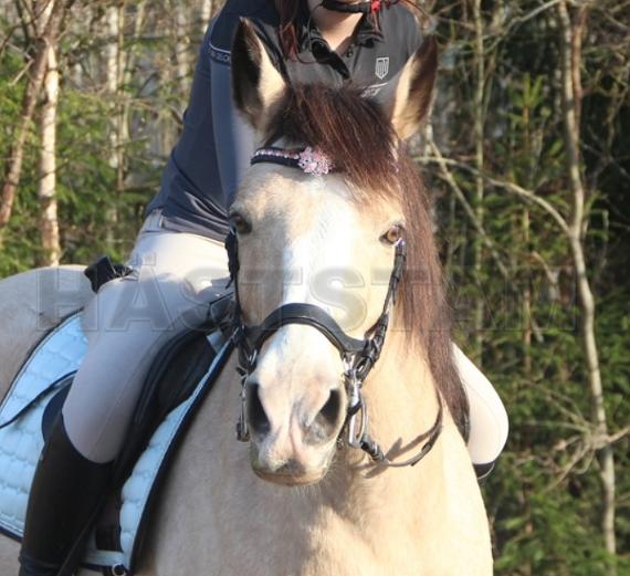 Imre (56)