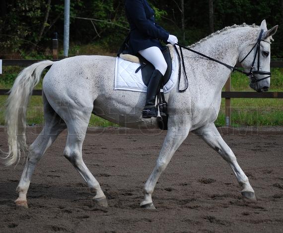 Endira (40)