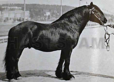 Tufte