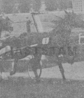 Derby Volo